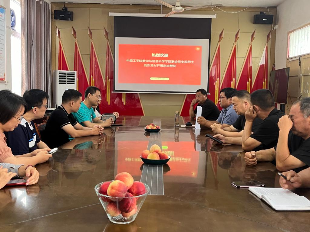 强党性 助振兴——数学与信息科学学院教师党支部赴新集村开展主题党日活动