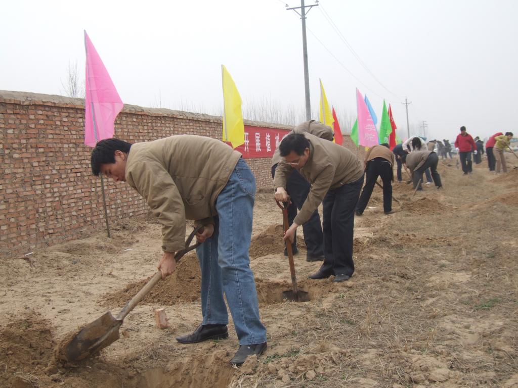 我校教师参加省直机关义务植树活动